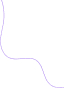Decorative Line